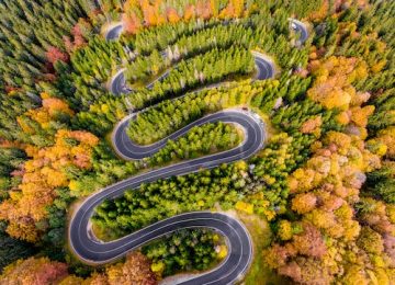 calin-stan-E-epLzBql6U-unsplash copy program management
